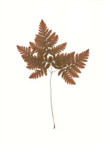 1979-06-26-000b