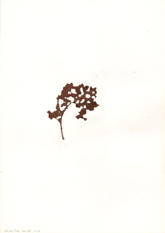 1988-00-00-004u