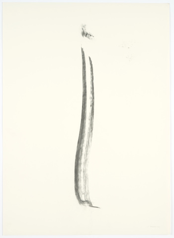 1999-00-00-0170