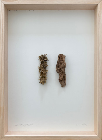 2015-07-00-0020