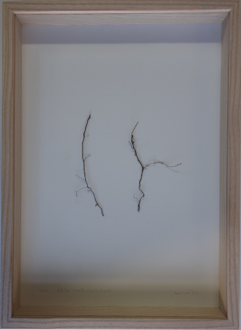 2024-08-18-0010